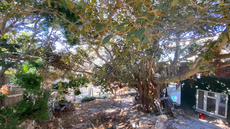 5 Bedroom Property for Sale in Murdock Valley Western Cape